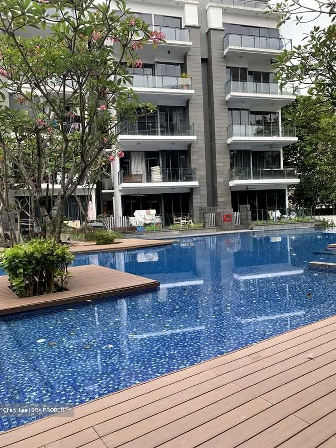 Buckley 18 (D11), Apartment #583464201